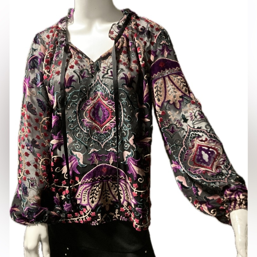 Violet & Claire Fall Festival Sheer Velvet Burnout Blouse Boho Western SZ Small